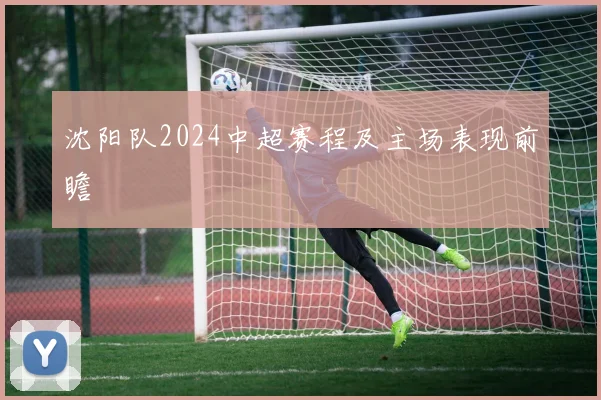 沈阳队2024中超赛程及主场表现前瞻